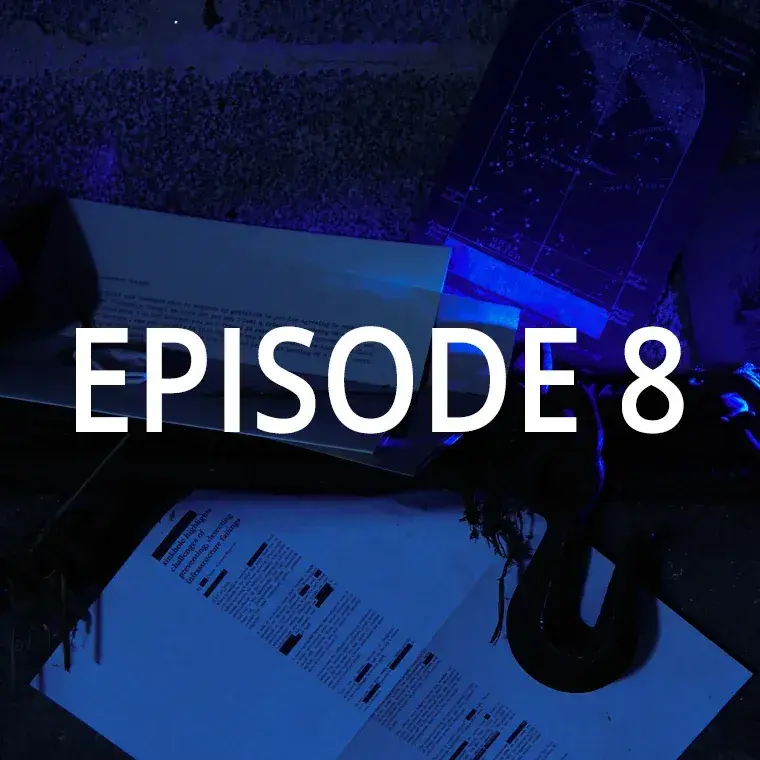 Episode 8