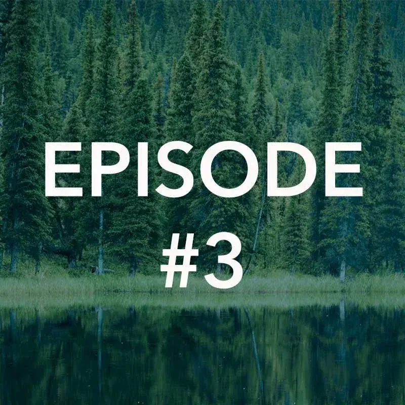 Episode 3